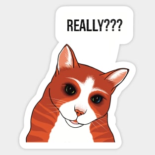 Really? Cute Ginger cat watching you a bit worried Sticker